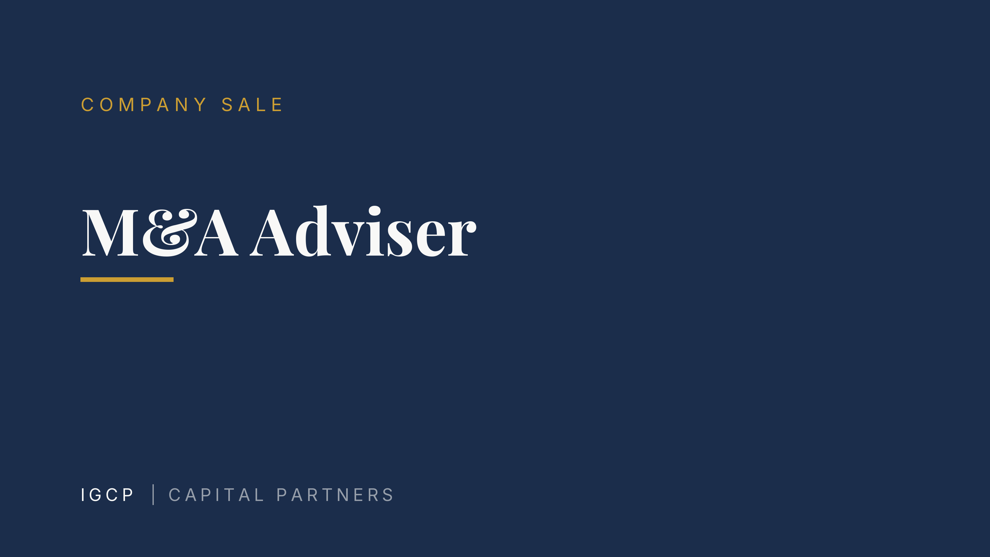 M&A Adviser: What They Do and When You Need One