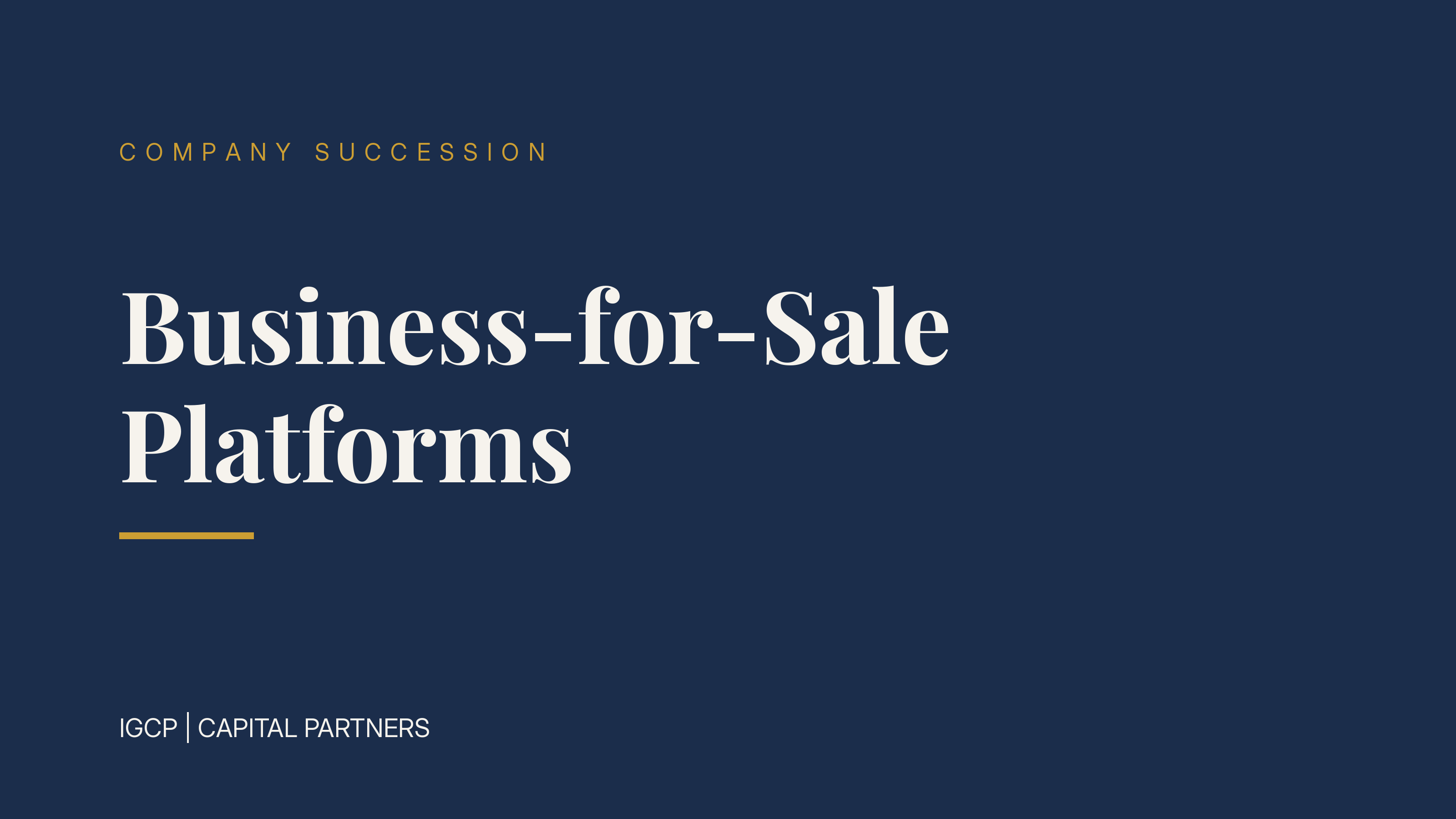 Business-for-Sale Platforms: How Succession Exchanges Work