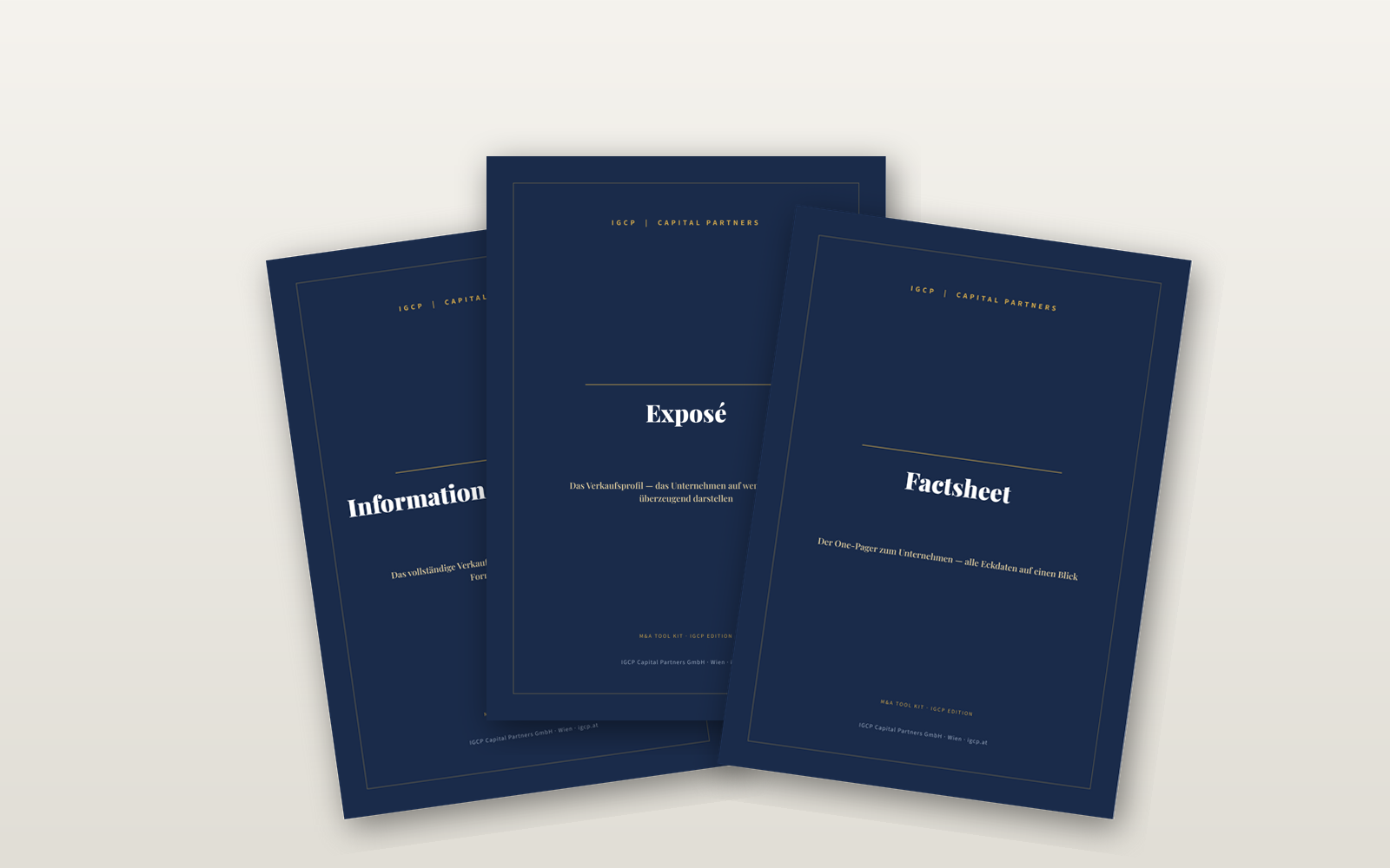 M&A Tool Kit — Produktbild